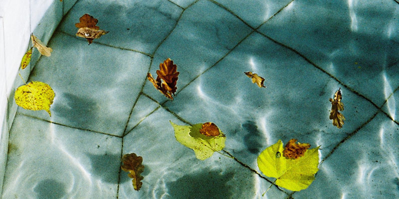 Comment &eacute;viter les feuilles mortes dans la piscine en automne ?